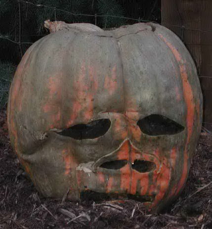 Nipomo Pumpkin Patch Alien
